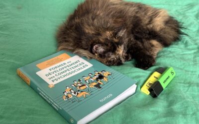Former au développement des compétences psychosociales – Ludivine Lenoir, Rebecca Shankland & Damier Tessier